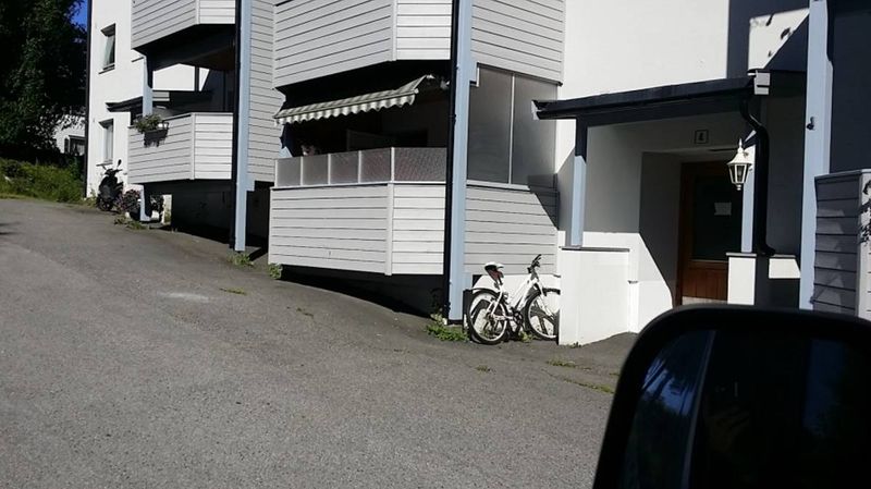 Vindavskjerming / wind screening